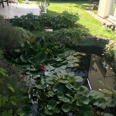 Apartma Lilijana Apartment